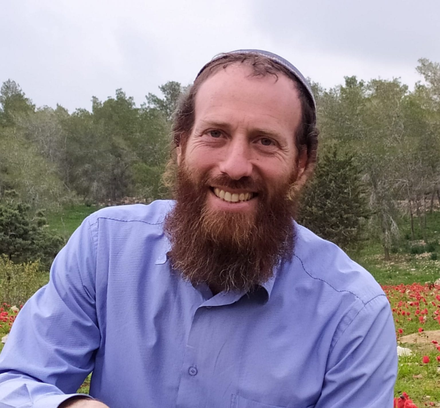 אריאל לביא