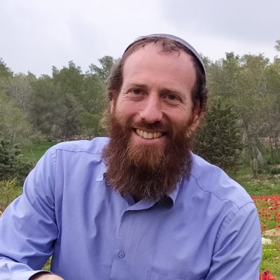 אריאל לביא